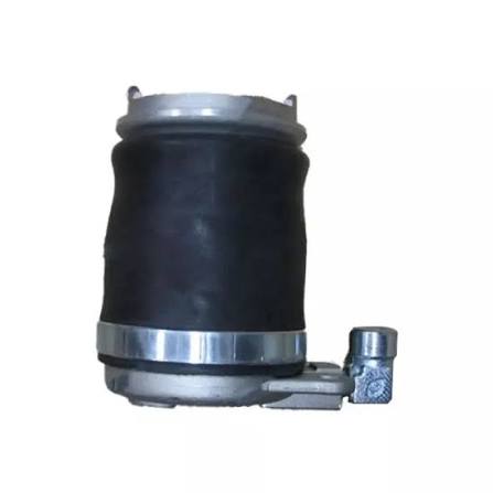 Hino Profia Air Bag